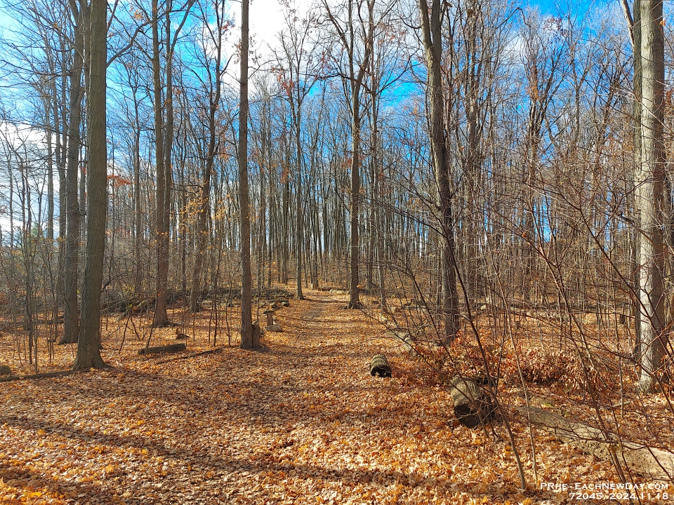 72045PeCrLeUsm - Westridge Trails, late fall
